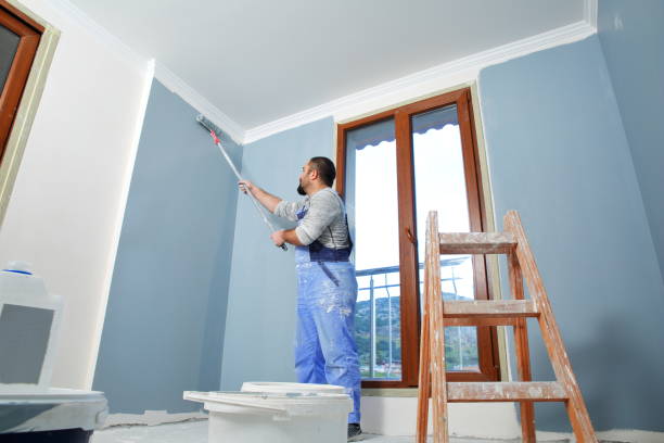 Best Drywall Patching  in Montevideo, MN