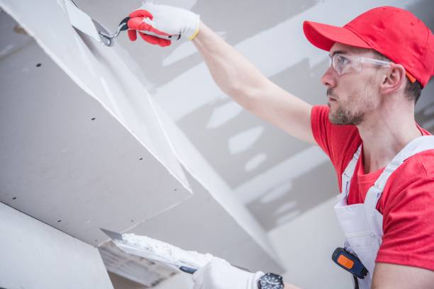 Best Drywall Removal and Disposal  in Montevideo, MN